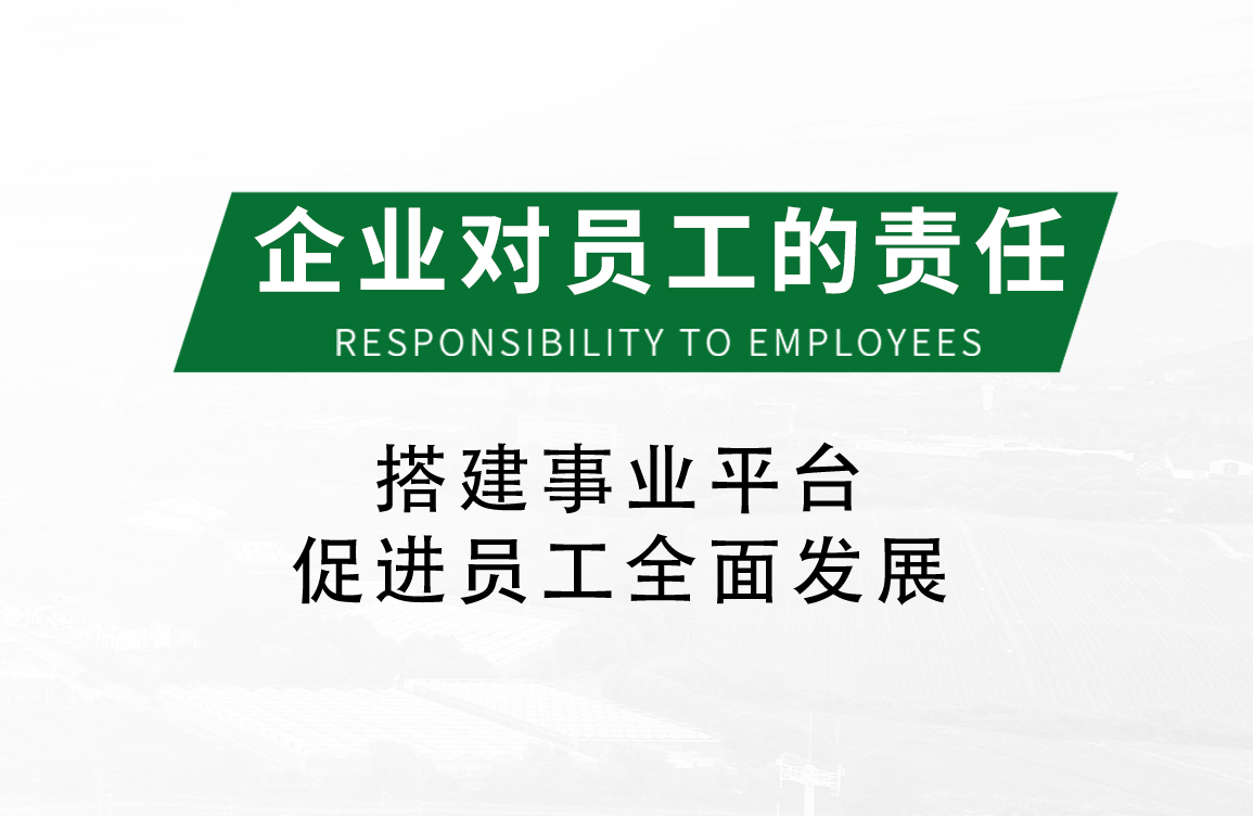 企業(yè)對員工的責(zé)任