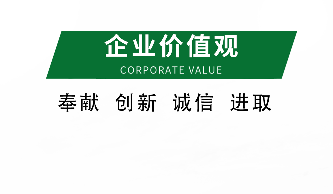 企業(yè)價值觀