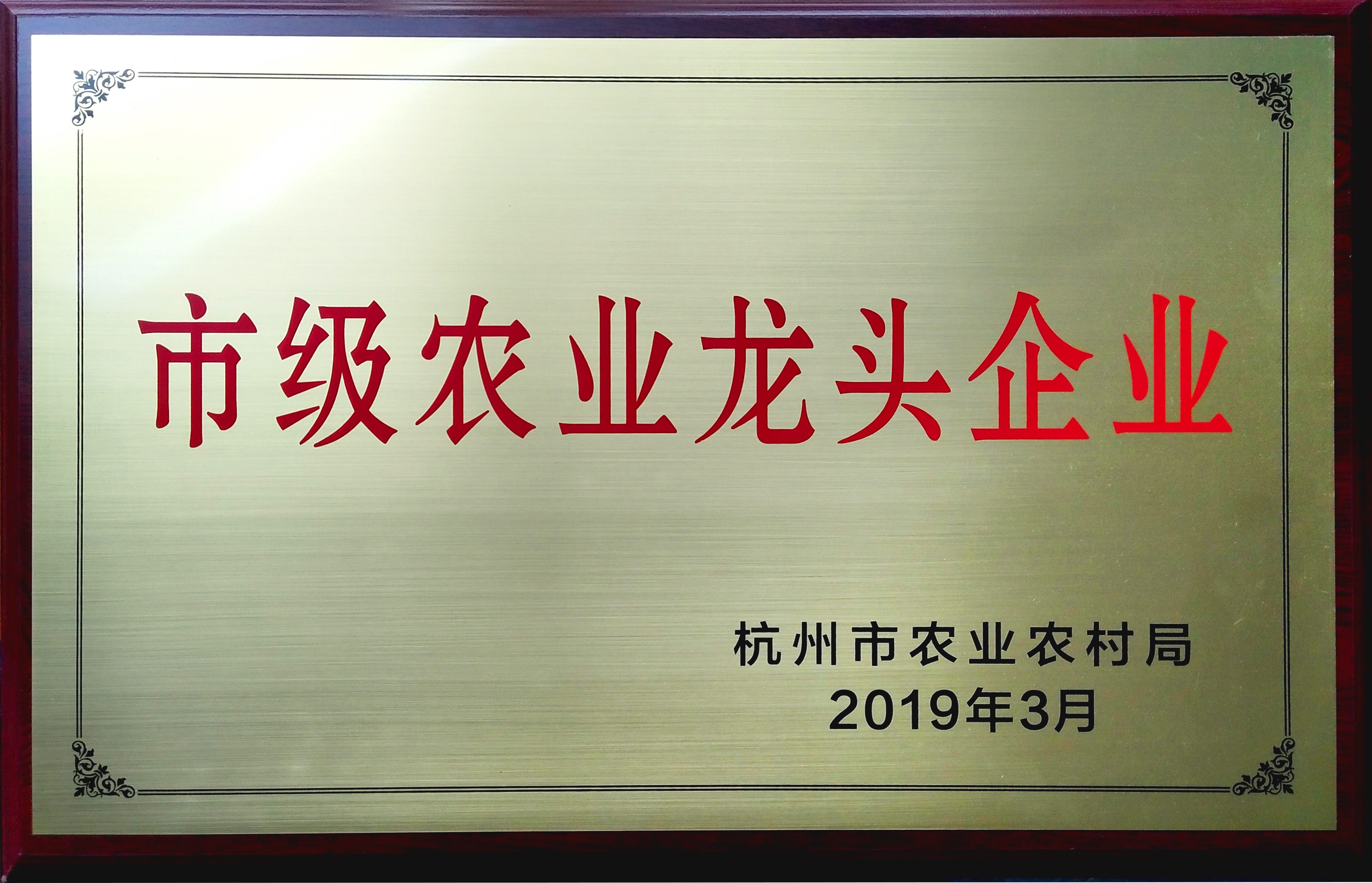 杭州市級龍頭企業(2019)
