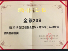 人見(jiàn)人愛(ài)的浙江省金獎(jiǎng)甜玉米‘金銀208’
