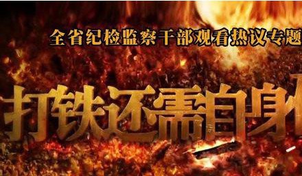 選好支部“領頭雁”，服務集團大發展——集團公司2個黨支部完成選舉工作