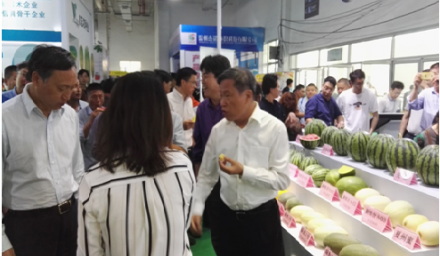 杭種集團(tuán)水果玉米新品種‘金銀208’成浙江種博會(huì)‘爆款’