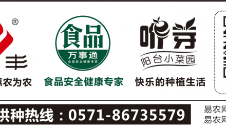 將希望的種子播進(jìn)春天