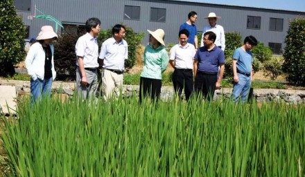 浙江省農(nóng)科院院長勞紅武 赴杭州種業(yè)集團科研基地調(diào)研慰問