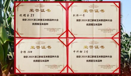 我司4玉米新品種喜獲省級“十大”優(yōu)質品種