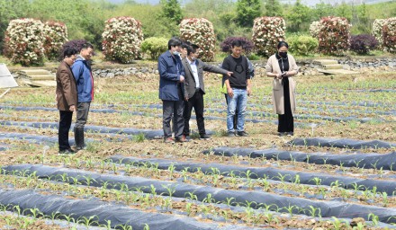 2020全國·浙江鮮食玉米大會(huì)系列報(bào)道之四——苗期管理階段