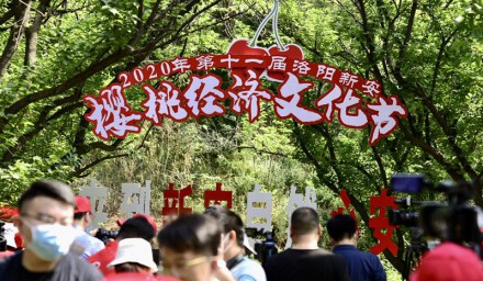 第十一屆洛陽·新安櫻桃經(jīng)濟(jì)文化節(jié)開幕