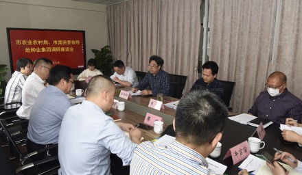 市農業農村局、市國資委主要領導 到種業集團調研指導