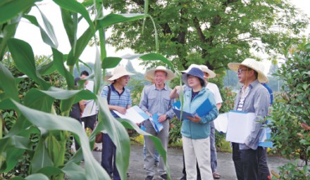 農(nóng)民日報專題報道2020全國·浙江鮮食玉米大會
