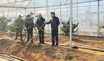 董事長前往種科院指導(dǎo)農(nóng)作物和建筑工地防寒工作