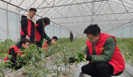 杭州種業(yè)集團利豐志愿者服務(wù)隊學雷鋒助春耕
