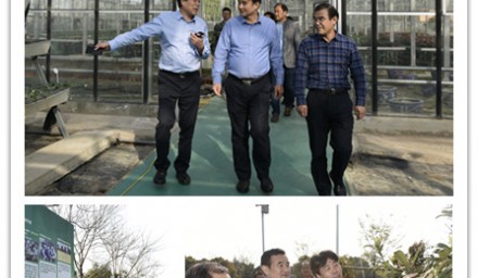 全國農業技術推廣服務中心副主任劉信到我司考察指導
