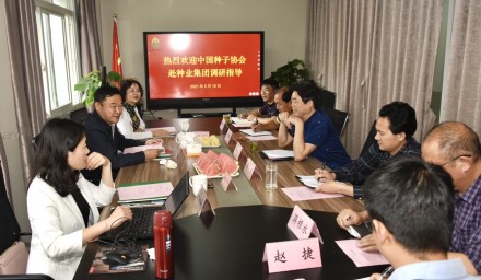 中國(guó)種子協(xié)會(huì)赴集團(tuán)公司調(diào)研指導(dǎo)