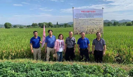 種業(yè)振興在行動：杭州種業(yè)集團超級稻品種‘中組143’再奪早稻高產(chǎn)