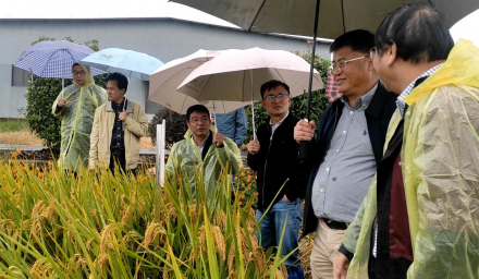 胡培松院士在杭州種業集團推動所企合作項目落地
