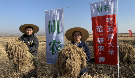 自有基地新米上市：“五好”基地孕育研農(nóng)大米
