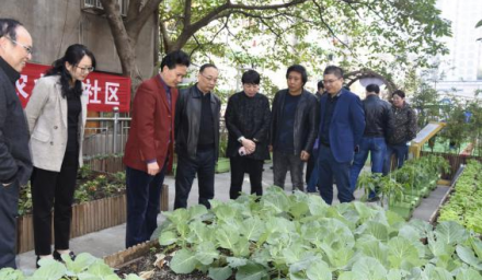 未來社區(qū)城市微農(nóng)項(xiàng)目觀摩研討會 取得圓滿成功