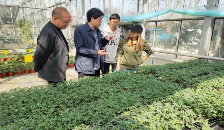 種業(yè)開新局 | 孫利祥董事長赴徑山基地指導(dǎo)春耕生產(chǎn)、新品種試驗工作