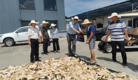 市發(fā)改農(nóng)林工會(huì)赴杭州種業(yè)集團(tuán)慰問高溫一線職工