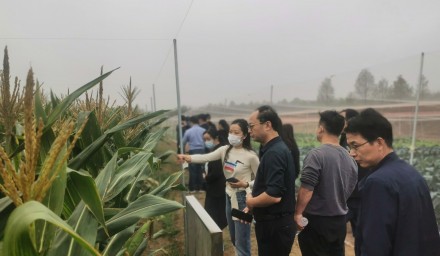 杭州種業(yè)集團(tuán)召開(kāi)全省鮮食玉米品種秋季現(xiàn)場(chǎng)觀摩會(huì)