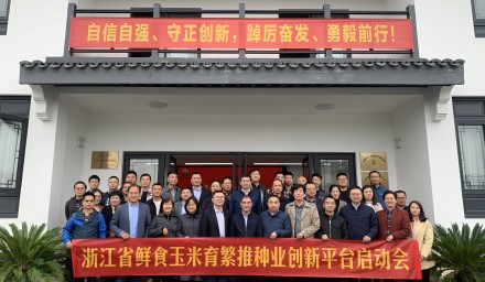 杭州種業(yè)集團(tuán)牽頭啟動(dòng)浙江省鮮食玉米育繁推種業(yè)創(chuàng)新平臺(tái)建設(shè)